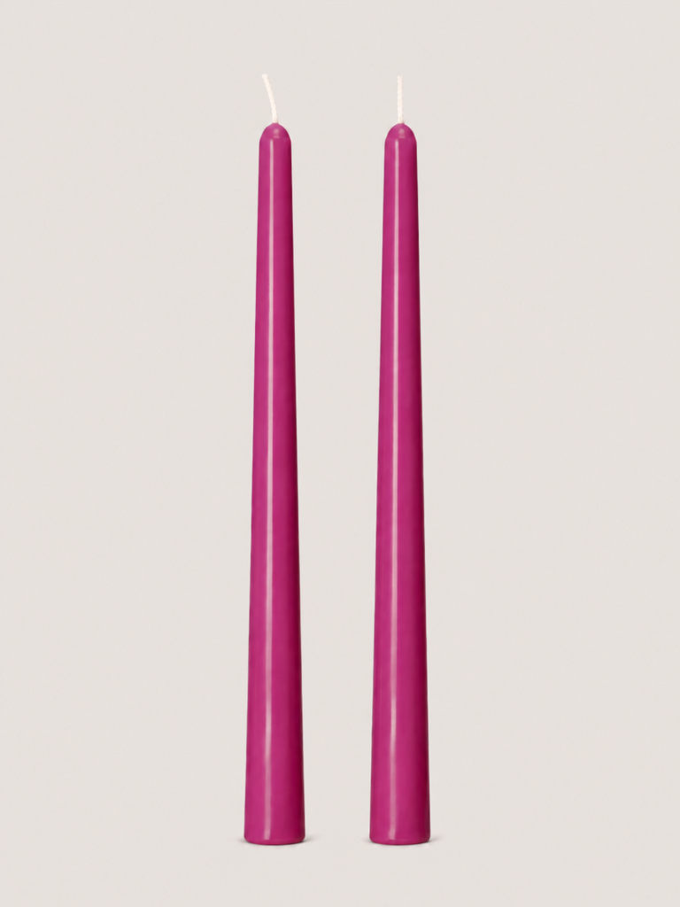 Magenta Bloom